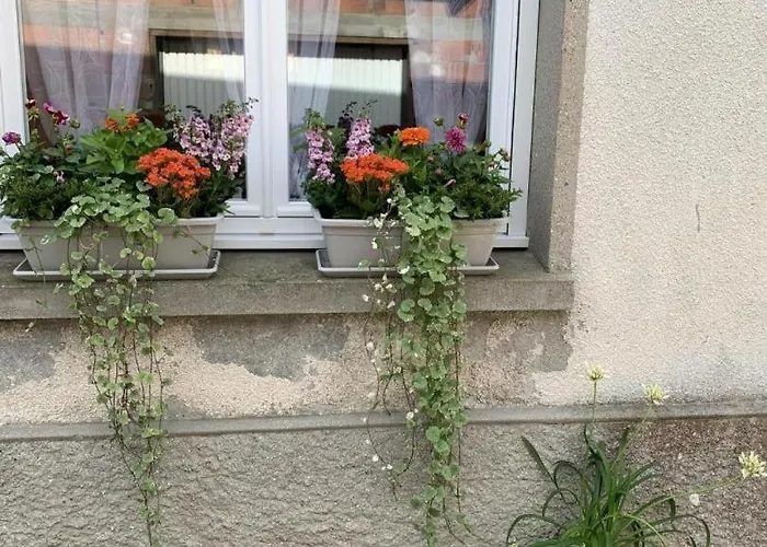 Gite Gites De France - Au P'Tit Prince D'Etretat